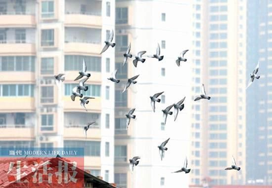 1 �������ݶ��������ڵط���