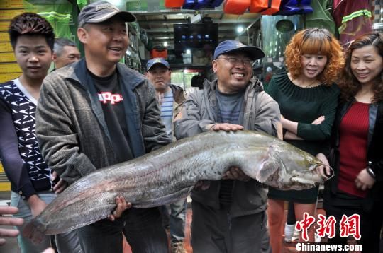 ����չʾ�ɹ� ��ï ��