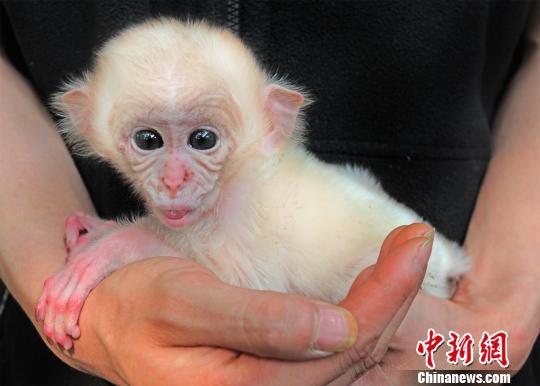 �����˲��������ƺ����׻�⨺� ��Χ������(ͼ)