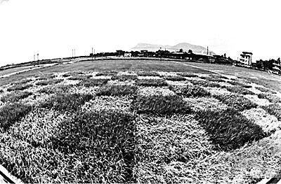 �����Ͻ�ת����ˮ���������ڣ���ͨˮ����溦���أ����ǿݻ�һƬ���������ŵ�ת����ˮ�����������á�������ĩͼY