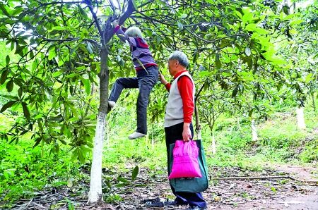 �����գ���ĸɽ����Ѯ��̫������������ ����ͼƬ���ɼ��� ֣���� ��