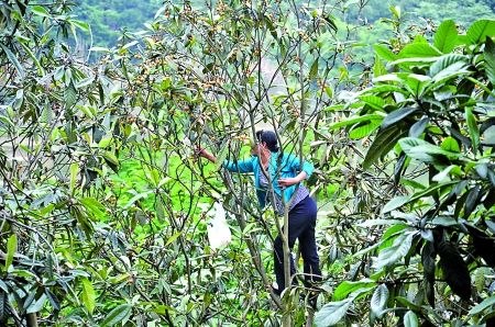 ��һŮ������������ժ����