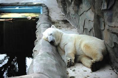 ��������������������β�� ��ҹ��ӭ����