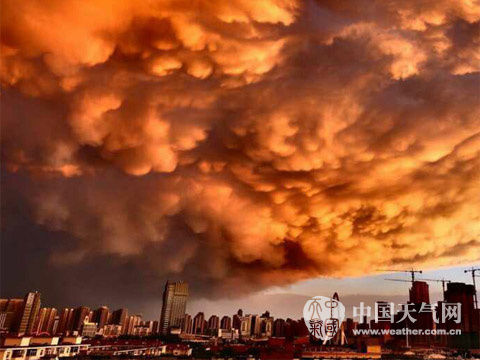 ����18ʱ���ң���ͣ��ס����������Ʋʱ�Ϧ��Ⱦ�ɽ��һƬ���������ˡ���� ������/��