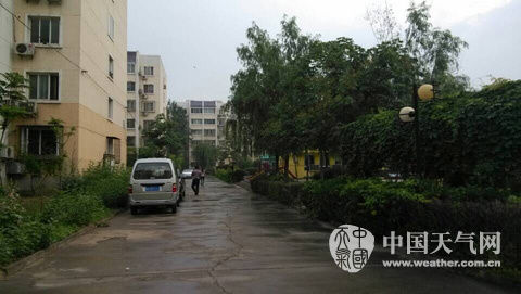 �񳿣�������ƽ�����ꡣ��ͨԷС��������ʪ������������ �㣩