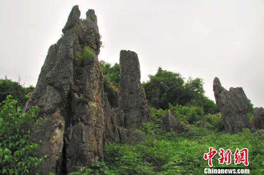 ����������ʯ�ַ��