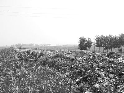 �ѷ�Լ���׳�����������