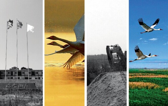 �ڵ����˿��������ѱ�ɽׯ����Ŀ���Լ��������۶����������̬���������С��Ӱ�졣