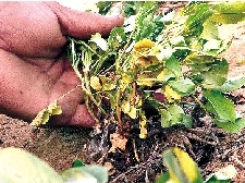 ��Ĳ��Ҧ����Ӻ�Ҵ�ߵĻ���������ɺ��Ѿ���ʼ��ή���ơ�