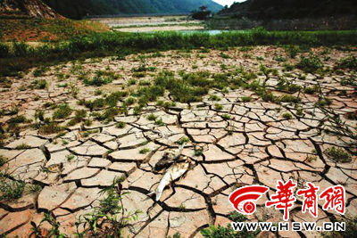 ������Ϯˮ��¶��(ͼ)