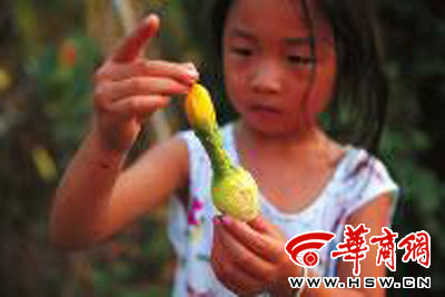 ������Ϯˮ��¶��(ͼ)