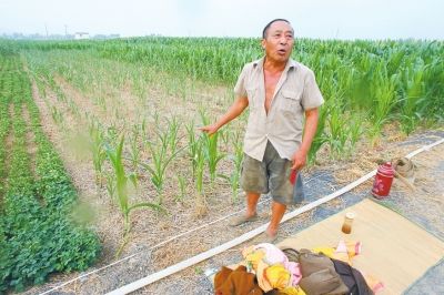 ƽ��ɽ�� Ϊ�����ɿʴ���ҹ�޵�ͷ