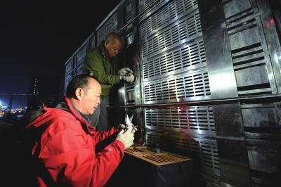 �����ŷɺ�ƽ��ǰ�ϸ񰲼� ȷ��δ��������