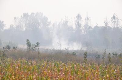 ����2/3�����С������� ������7893���սոѻ��