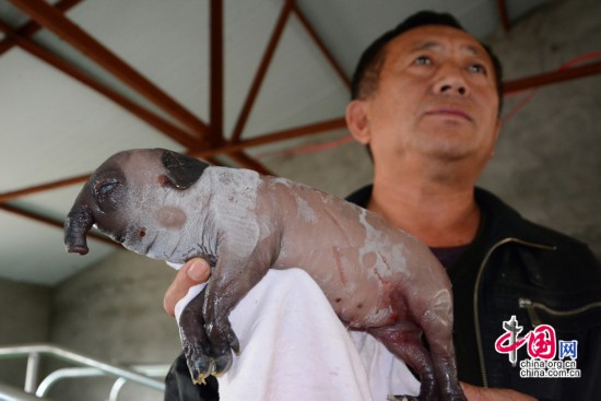 ���֡���������ǳ���4���� �����2Сʱ