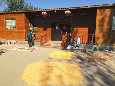 λ�ڻƺ�̲��֣�ݸ���ũҵ԰���һ���˼ҹ����˶���ũ����������»��緢