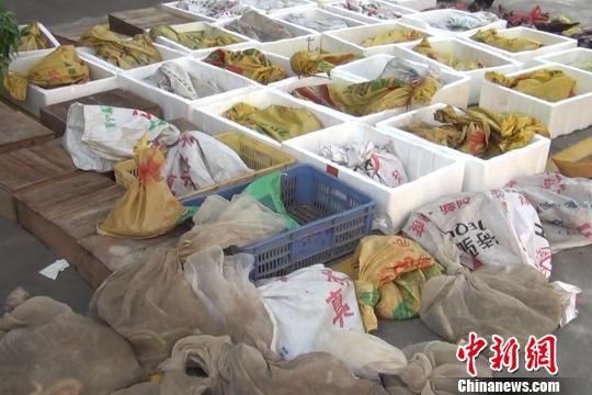 �����ƻ��ش���Ұ�����ﰸ �ɻ�����ǧ��ֻ