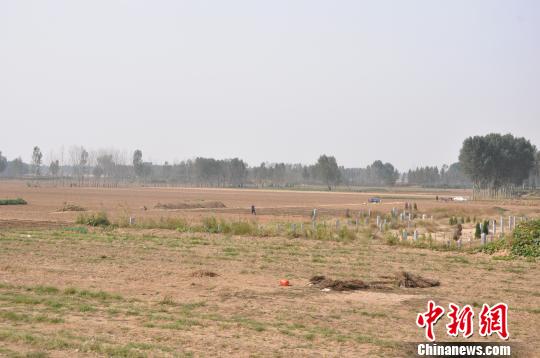 �����е�Ĺ�� ������ ��