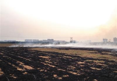 ���򼽽ոѷ����������� ר�ҽ��齨����������