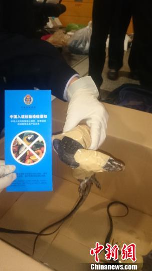 �Ϻ����뾳������߲��Ų����ʱ�Σ����ˮ����