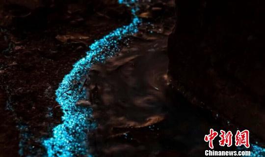 �麣������ɫӫ�⺣̲���ؾ������Χ�ۣ�ͼ��