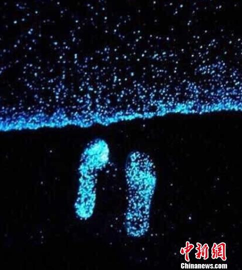 �麣����ɫӫ�⺣̲ ���ؾ������Χ��(ͼ)