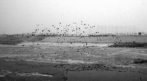 ��ˮ������������ˮ���൱��8��������