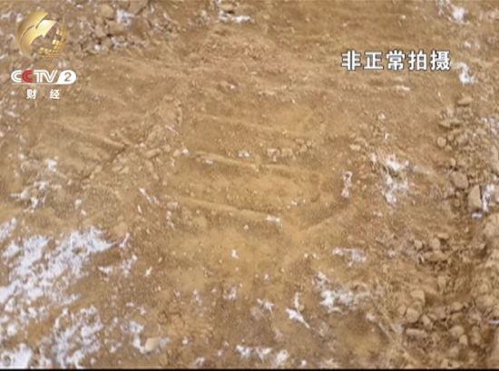 �����ɼ��ĳ���ӡ�ͱ��ڳ�����