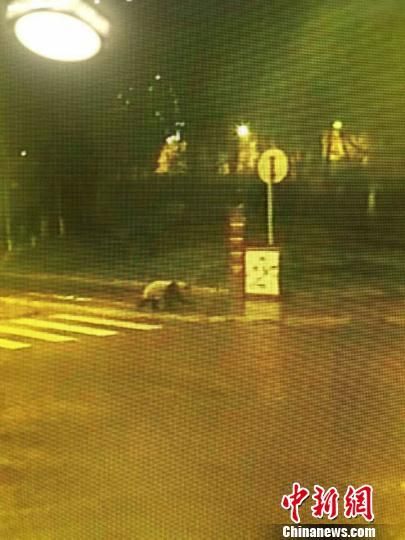 �����Ƶͼ�񡣡���������